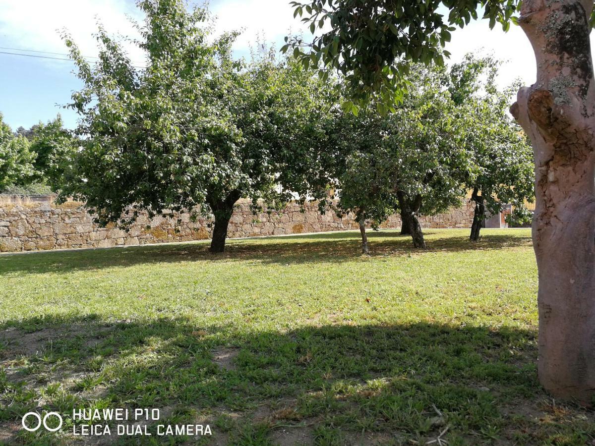 Casas Marias De Portugal - Cerveira Apartment Vila Nova de Cerveira Ngoại thất bức ảnh